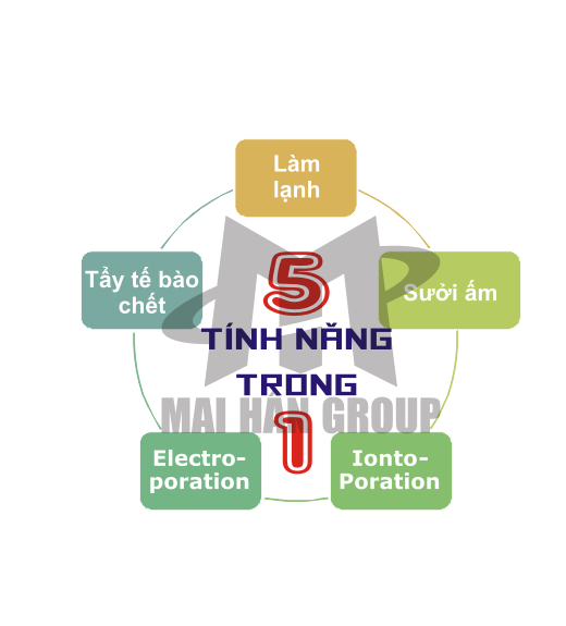 MÁY ĐIỆN DI COOL RELAX II (HÀN QUỐC)